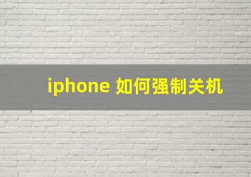 iphone 如何强制关机